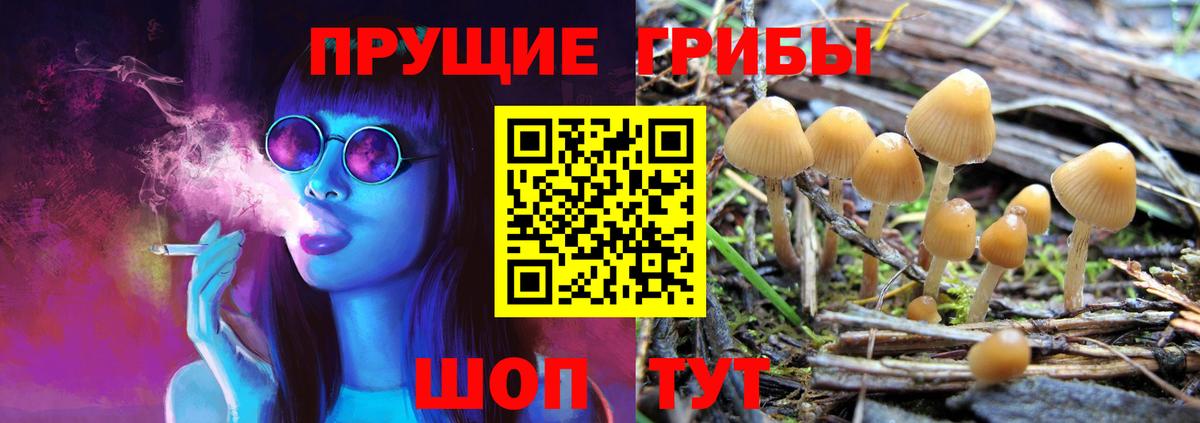 Москва  Галлюциногенные грибы Magic Shrooms  Вход с VPN 