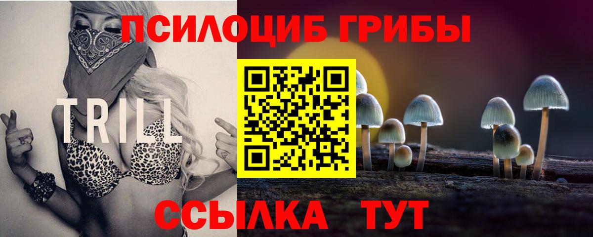 Псилоцибиновые грибы прущие грибы Москва